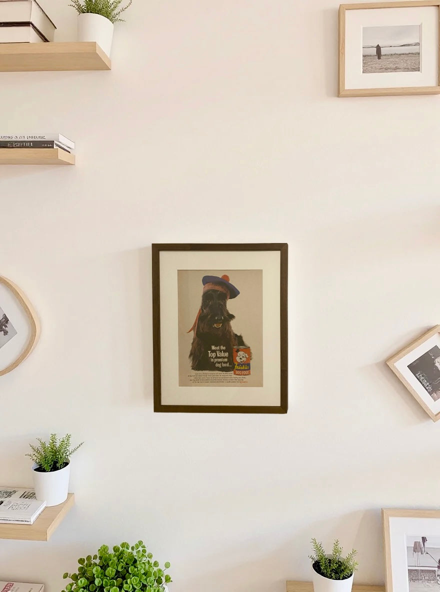 Original Friskies Scotty Dog Food vintage advertisement displayed in a handcrafted brown wood frame as part of a modern gallery wall.