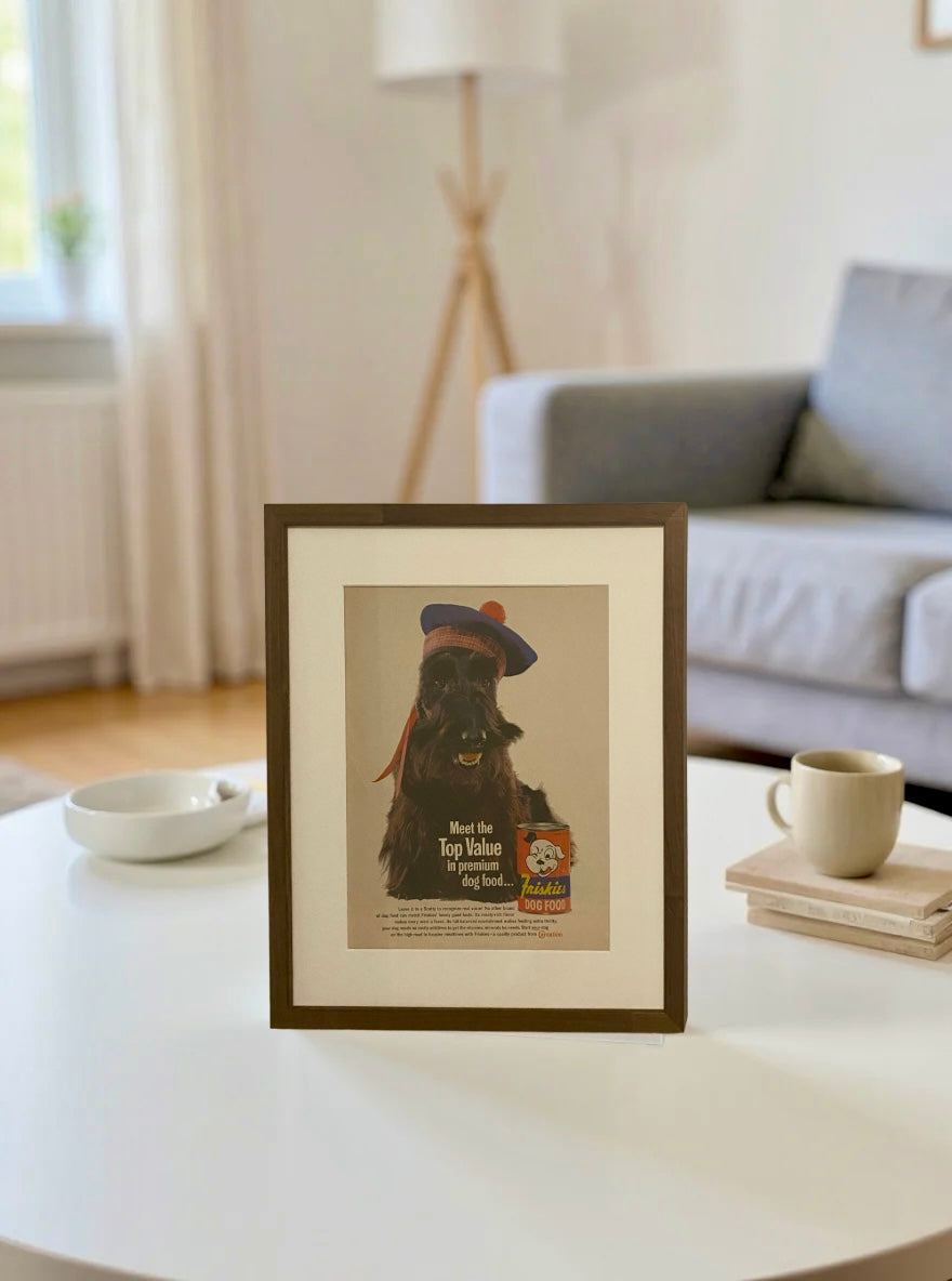 Original Friskies Scotty Dog Food vintage advertisement displayed in a handcrafted brown wood frame on a modern living room coffee table.