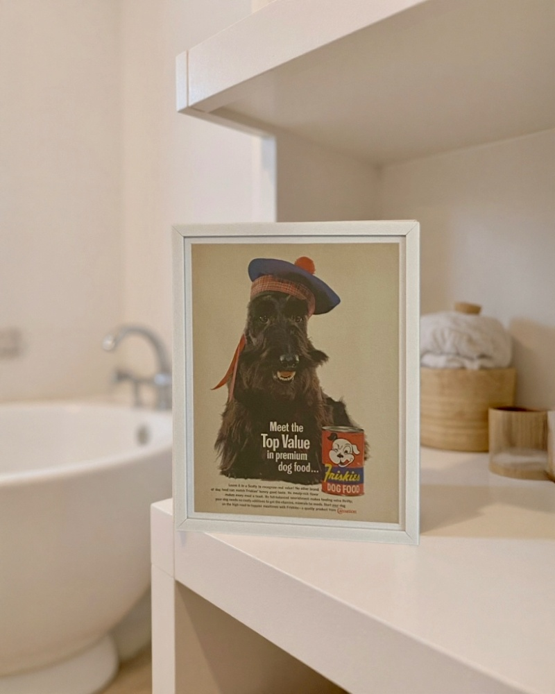 Modern vintage Friskies dog food advertisement framed wall art, mid-century pet illustration