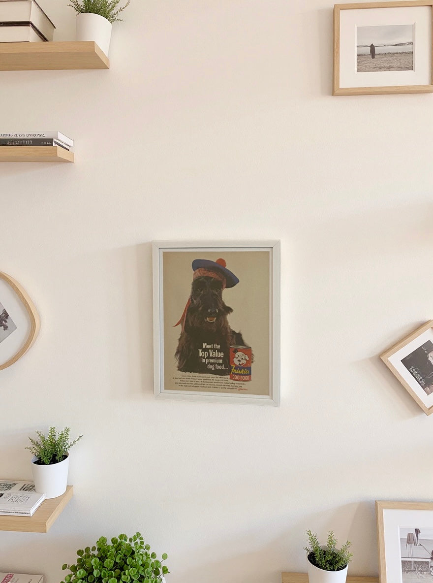 Original 1960s Friskies Dog Food Framed Advertisement – “Meet the Top Value in Premium Dog Food…”