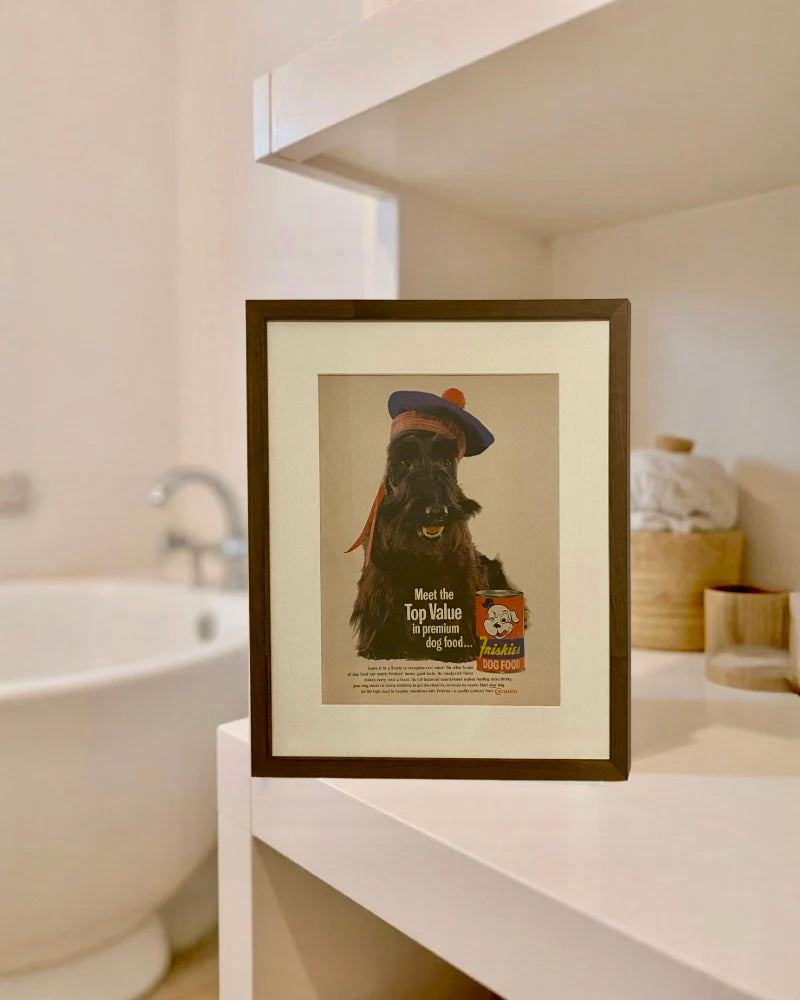 Original Friskies Scotty Dog Food vintage advertisement displayed in a handcrafted brown wood frame on a modern bathroom vanity.