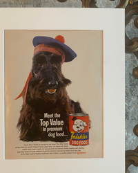 Close-up of the original Friskies Scotty Dog Food vintage advertisement featuring the Scottish Terrier illustration, preserved colors, and authentic paper.