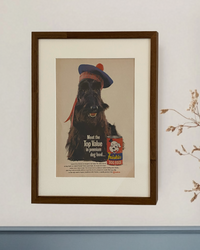 Original Friskies Scotty Dog vintage advertisement displayed in a handcrafted brown wood frame with an off-white mat.