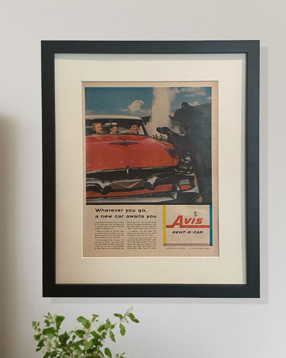 Original vintage Avis Rent-a-Car advertisement featuring a red Plymouth and bears, beautifully framed in matte black with an off-white mat